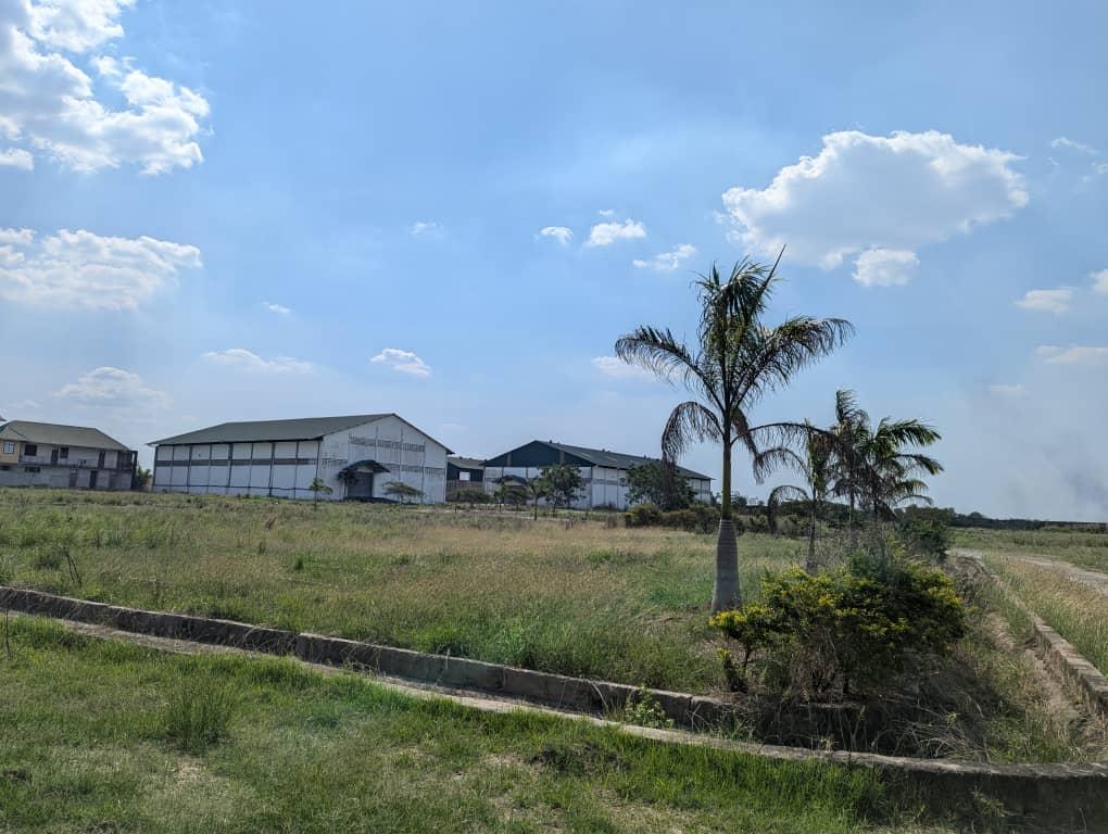 memberTsh 85 Million