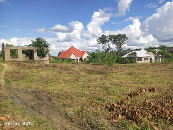 memberTsh 13 Million